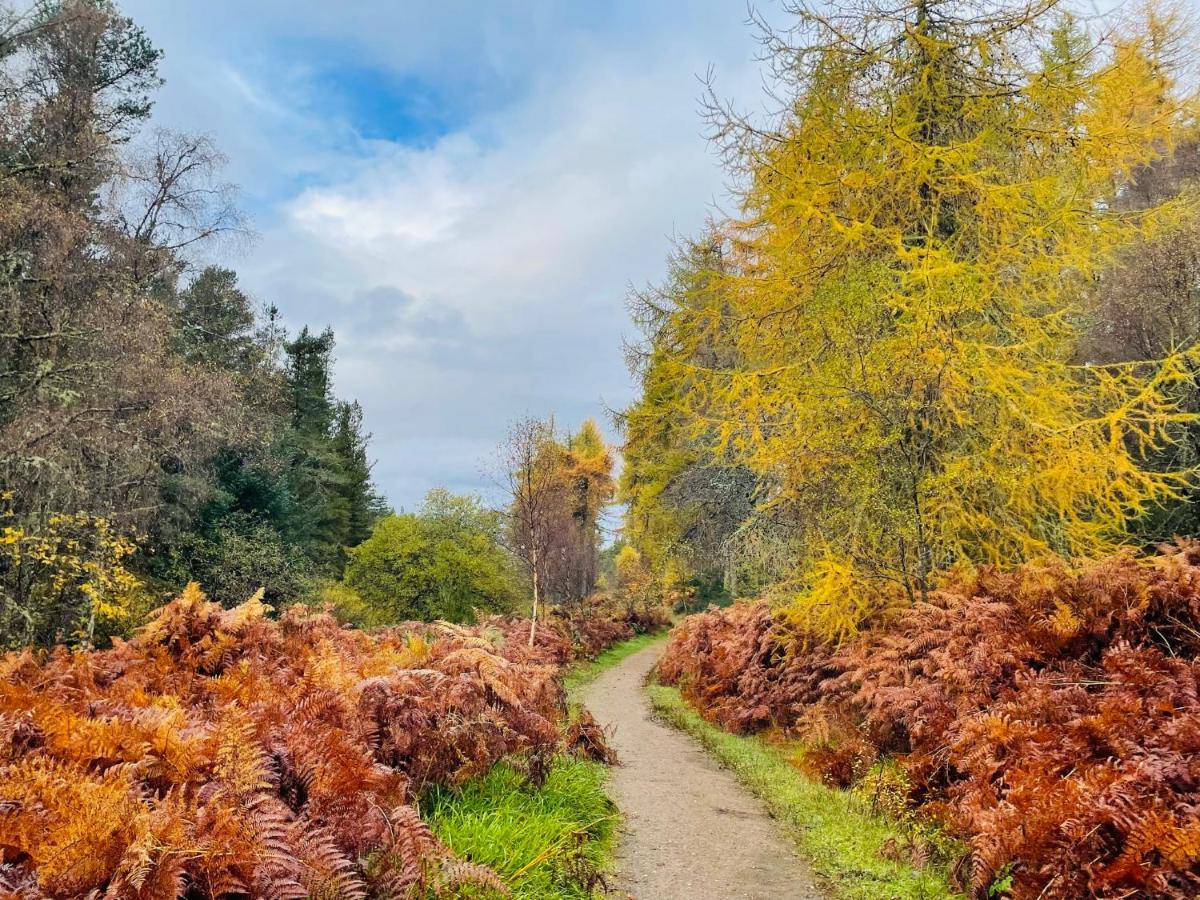Shandwick House Tain Luaran gambar